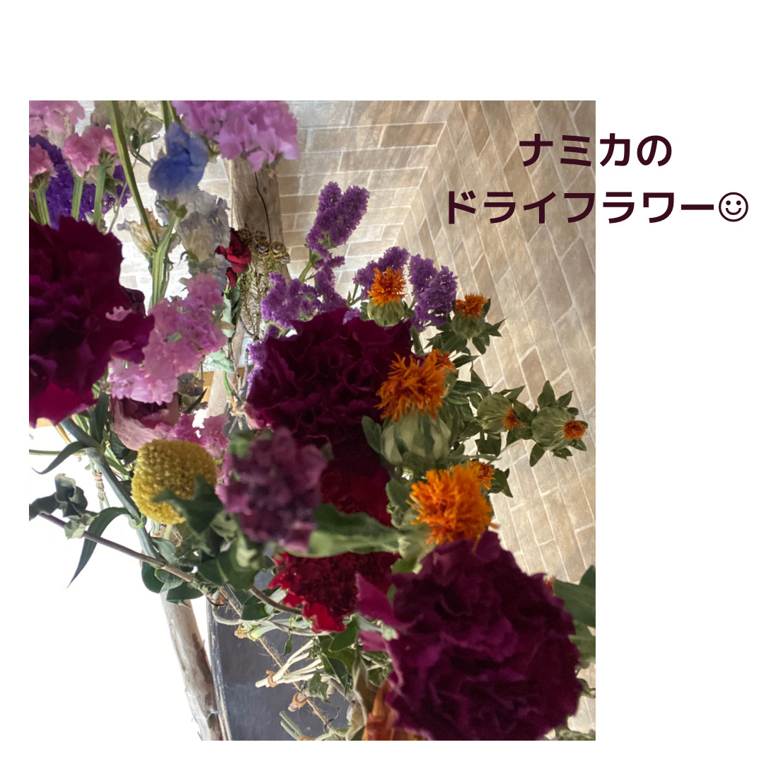 ナミカで扱うドライフラワー 横須賀市北久里浜のお花屋さん Namika ナミカで扱うドライフラワー 横須賀市北久里浜のお花屋さん Namika